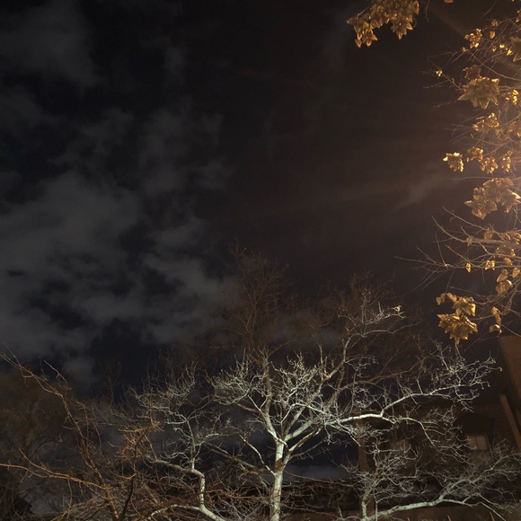 Meet your Posher, Simon - Picture 1 of 1